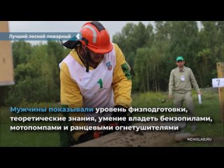 the best forest firefighter was determined in the krasnoyarsk territory